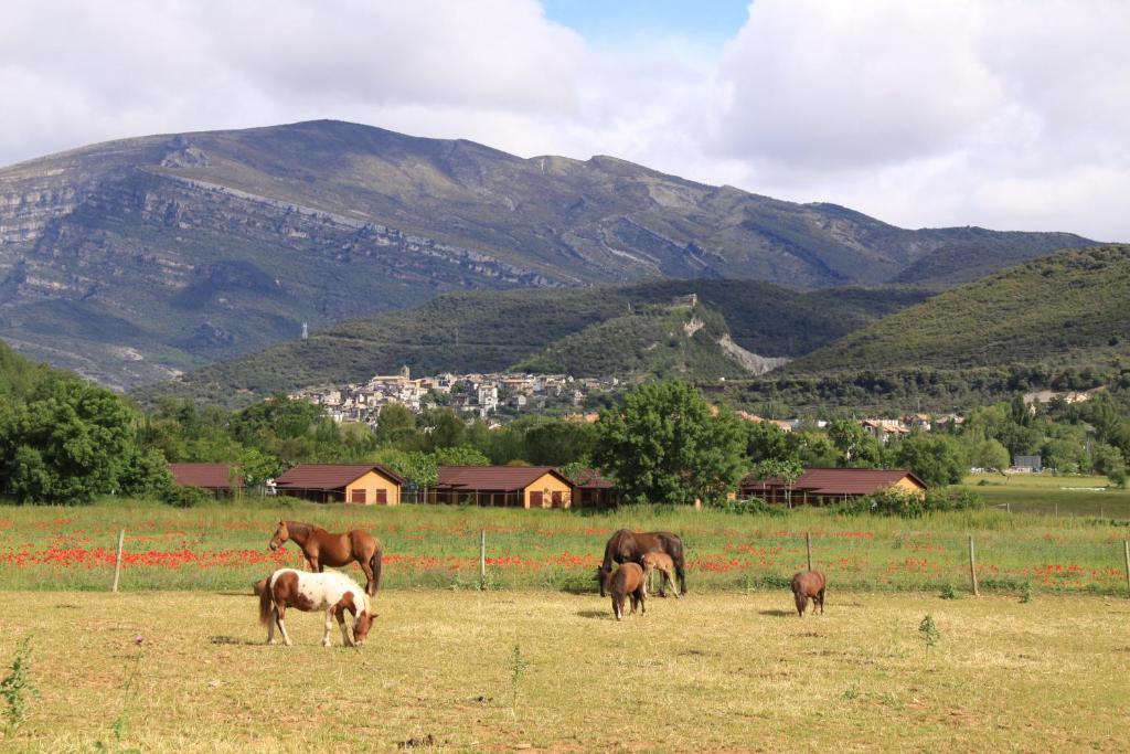 Wecamp Pirineos Camping Boltaña